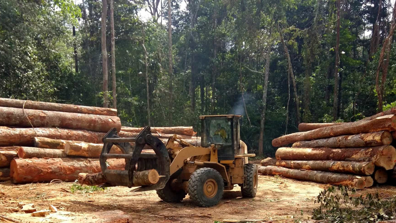 'Até 2030 o desmatamento vai acabar, por falta de floresta', diz delegado