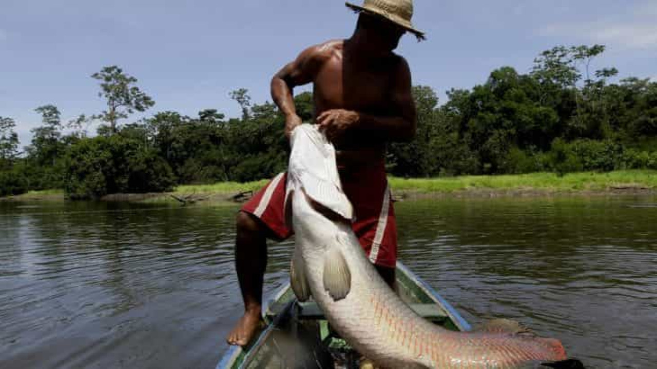 Justiça condena elétrica a indenizar pescadores e ribeirinhos por inundação