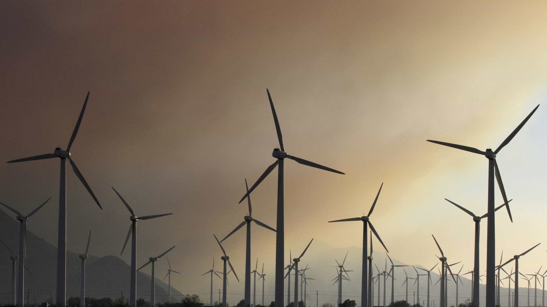 Leilão de energia eólica reúne 377 projetos em 8 Estados