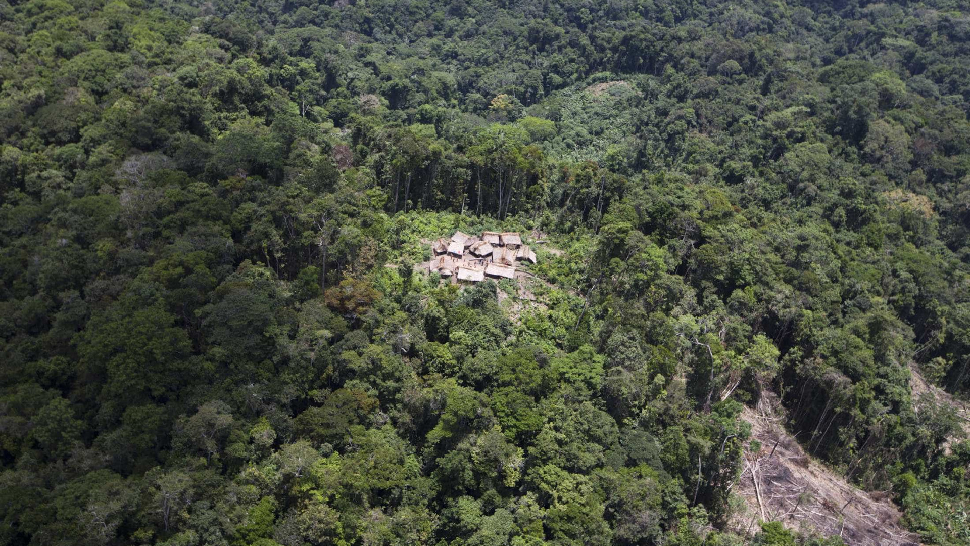 Incra promete diminuir desmatamento nas áreas de assentamentos na Amazônia Legal
