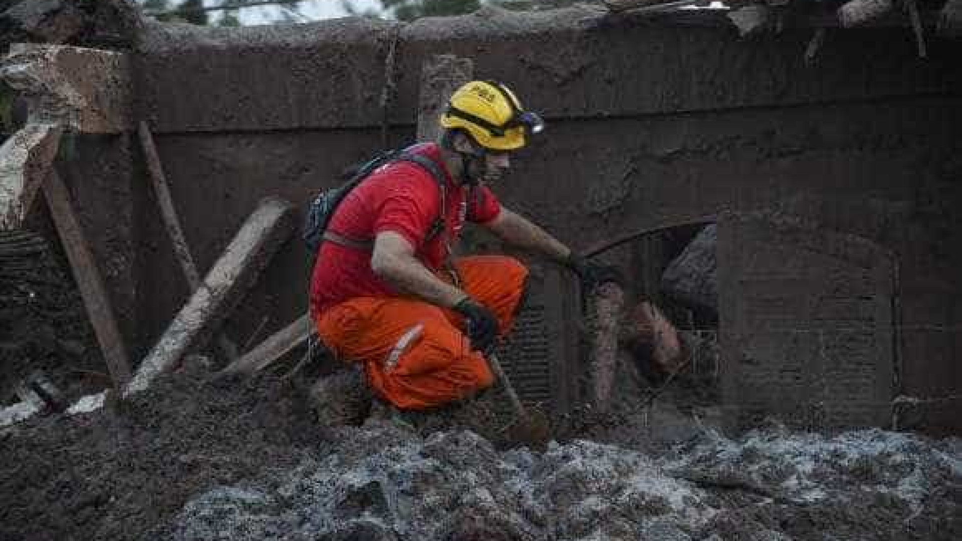 Cães farejadores ajudam no
trabalho de resgate em Mariana