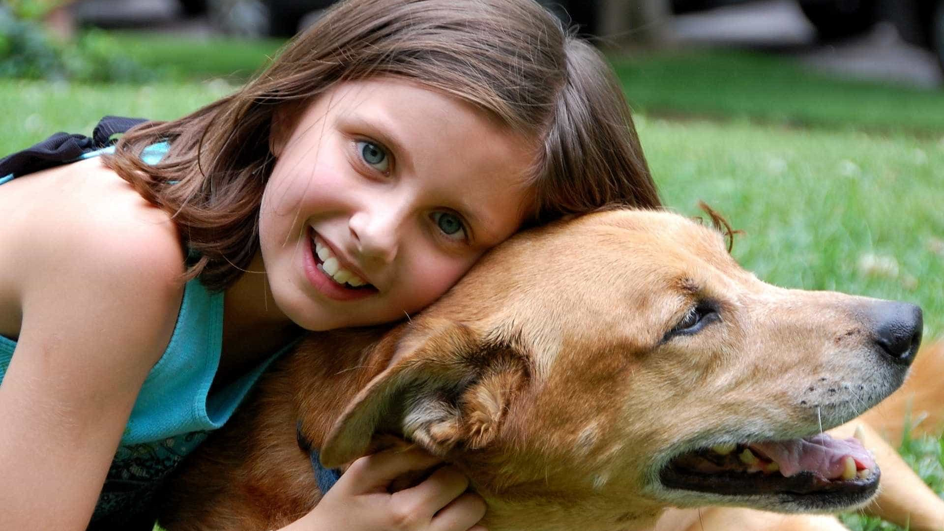 Crianças que têm cães em casa sofrem menos de ansiedade