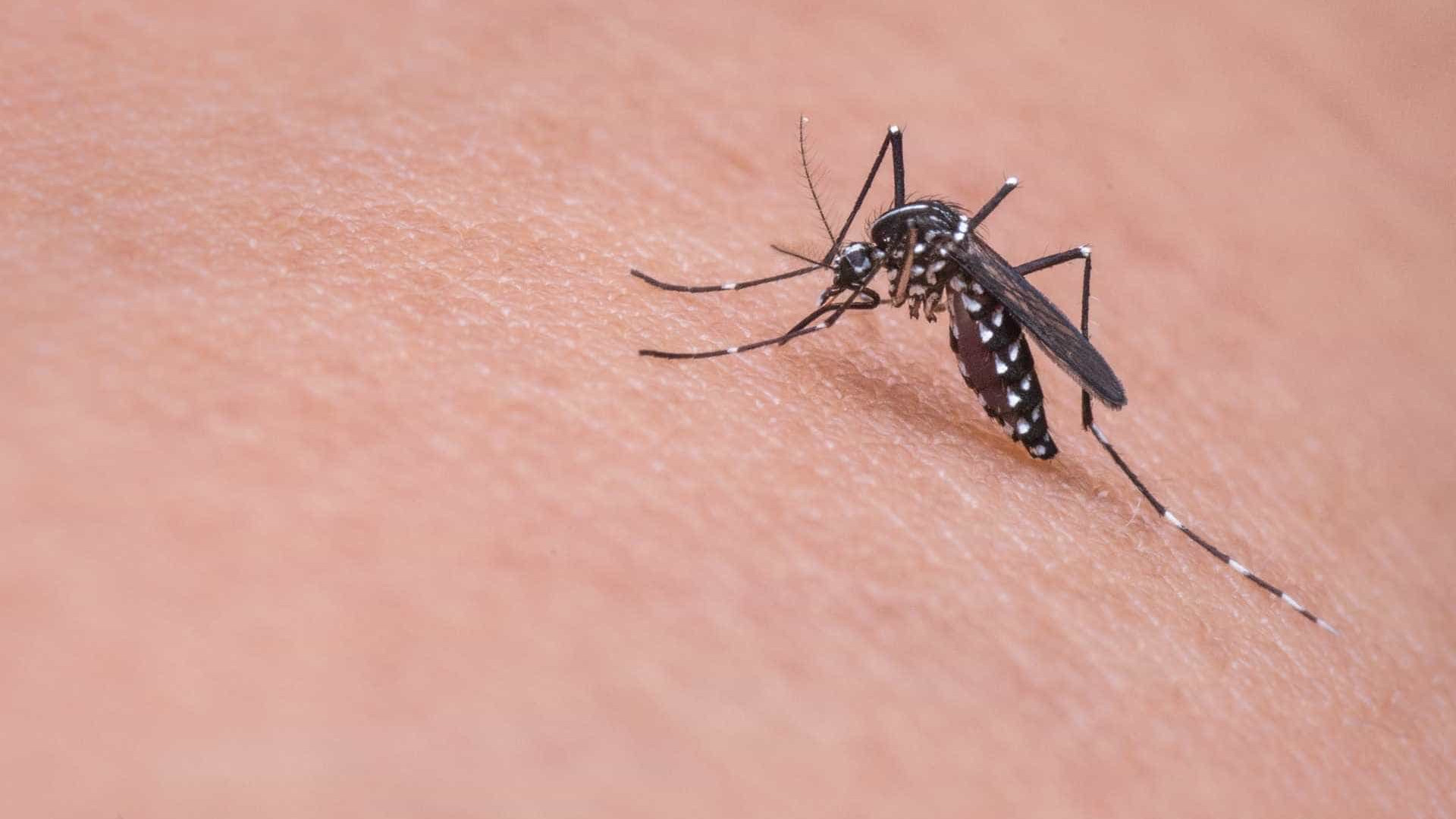 Paciente foi infectado com zika, dengue e chikungunya na Colômbia