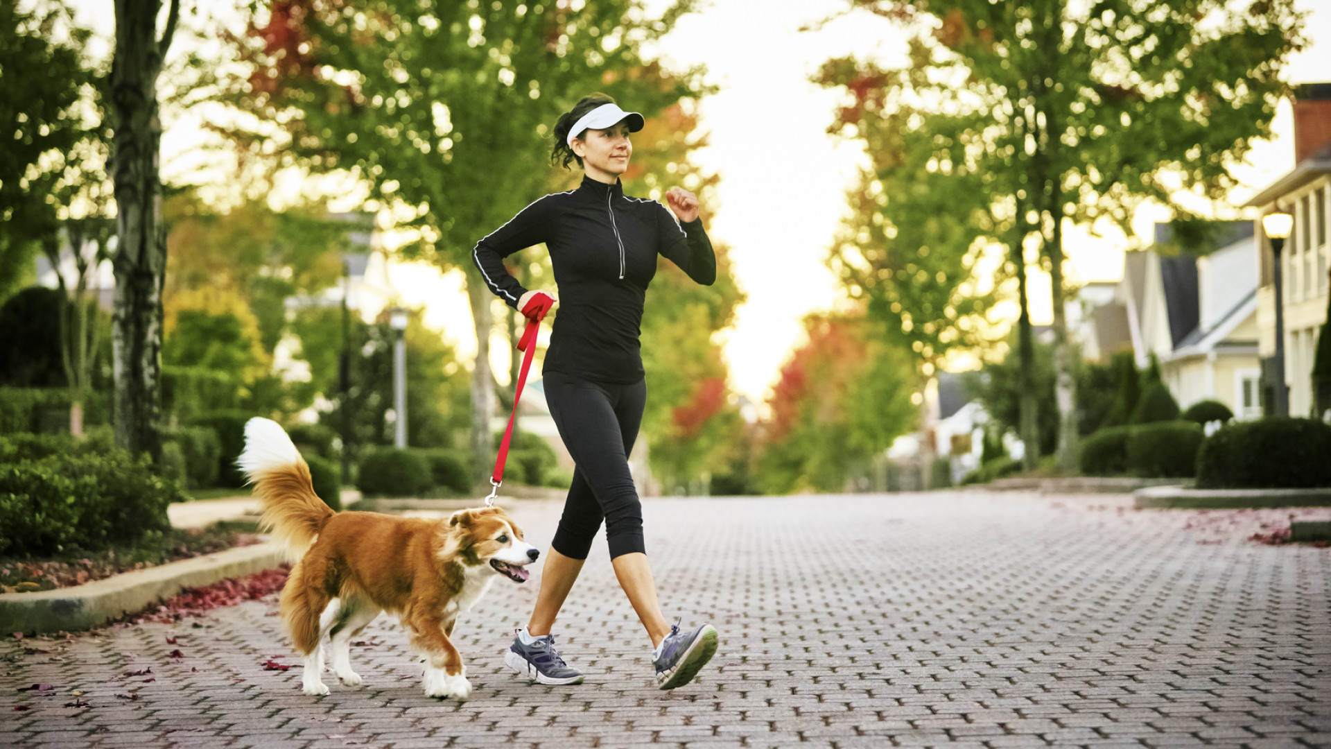 19 benefícios que alguns minutos 
de caminhada proporcionam à saúde