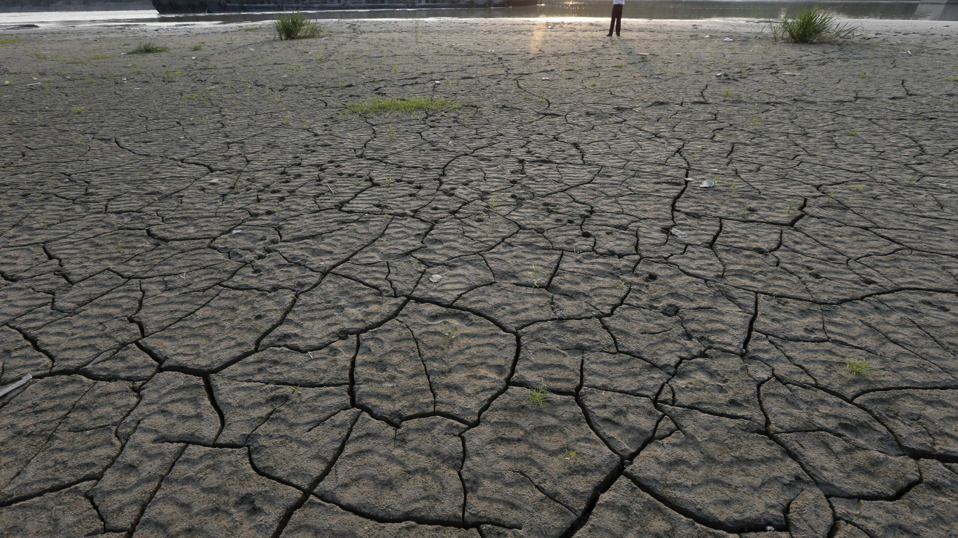 Governo reconhece emergência em 
8 cidades da BA por causa da seca