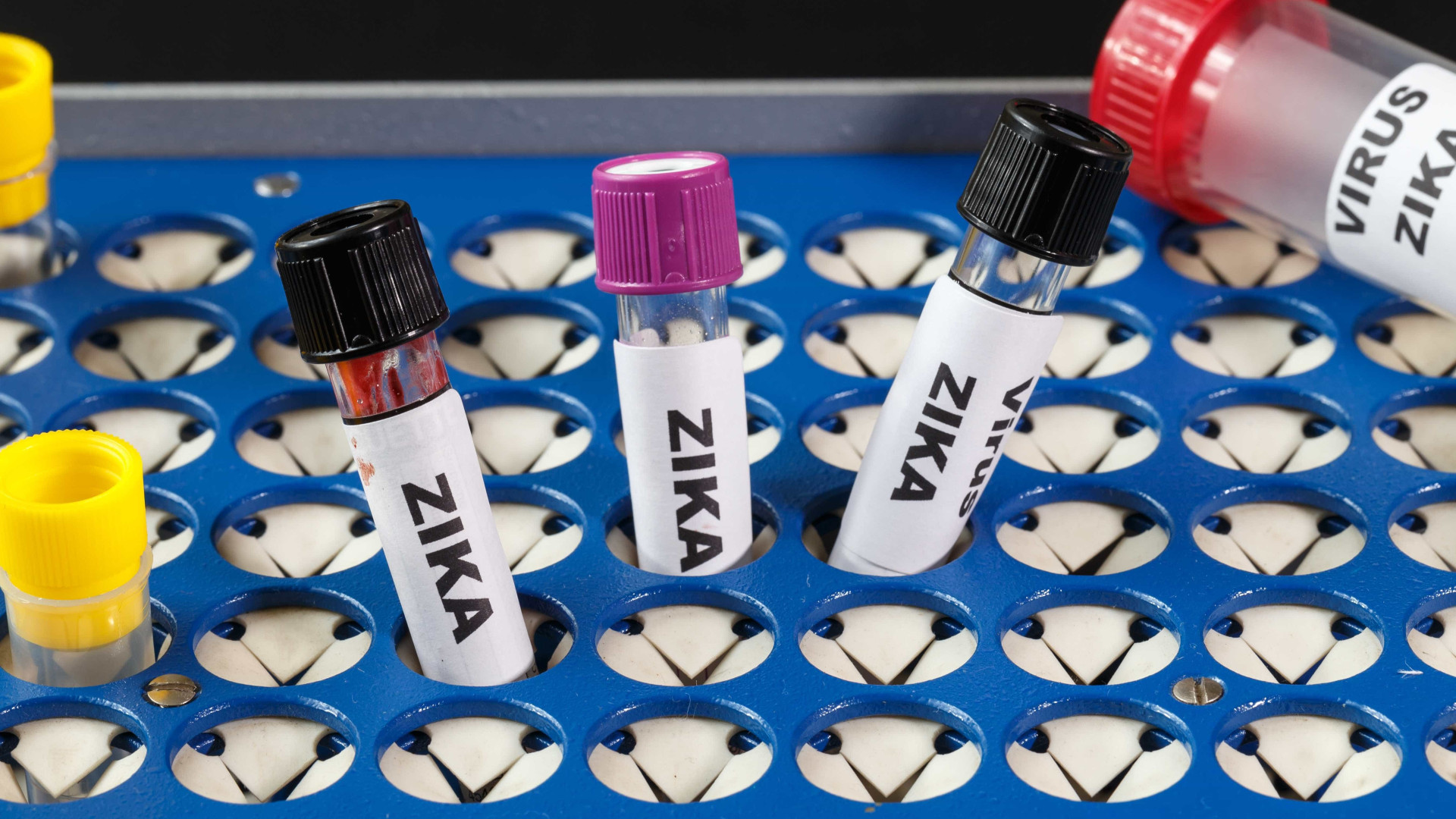 Mulheres querem mais e melhores informações 
sobre a zika, diz pesquisa
