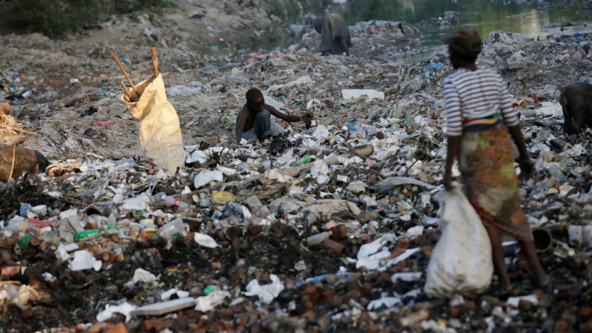 Haitianos vão receber 54 toneladas de alimentos 
doados por brasileiros
