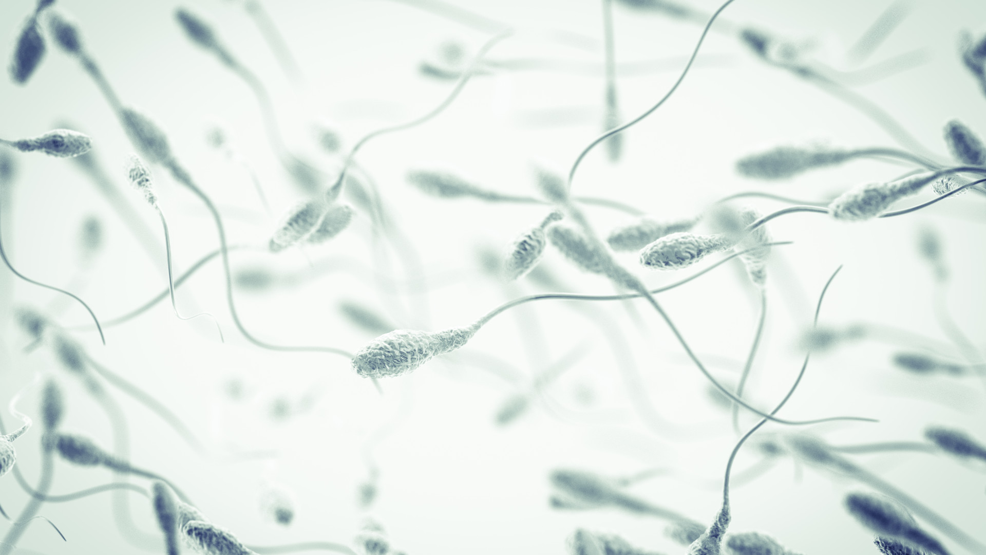 Esperma pode abrigar 27 tipos diferentes de vírus, aponta estudo