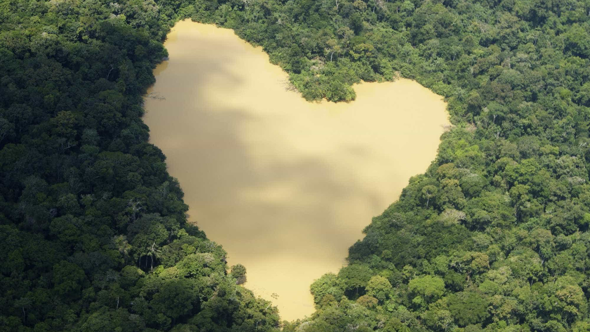 Reserva no Amazonas zera desmatamento e é considerada modelo