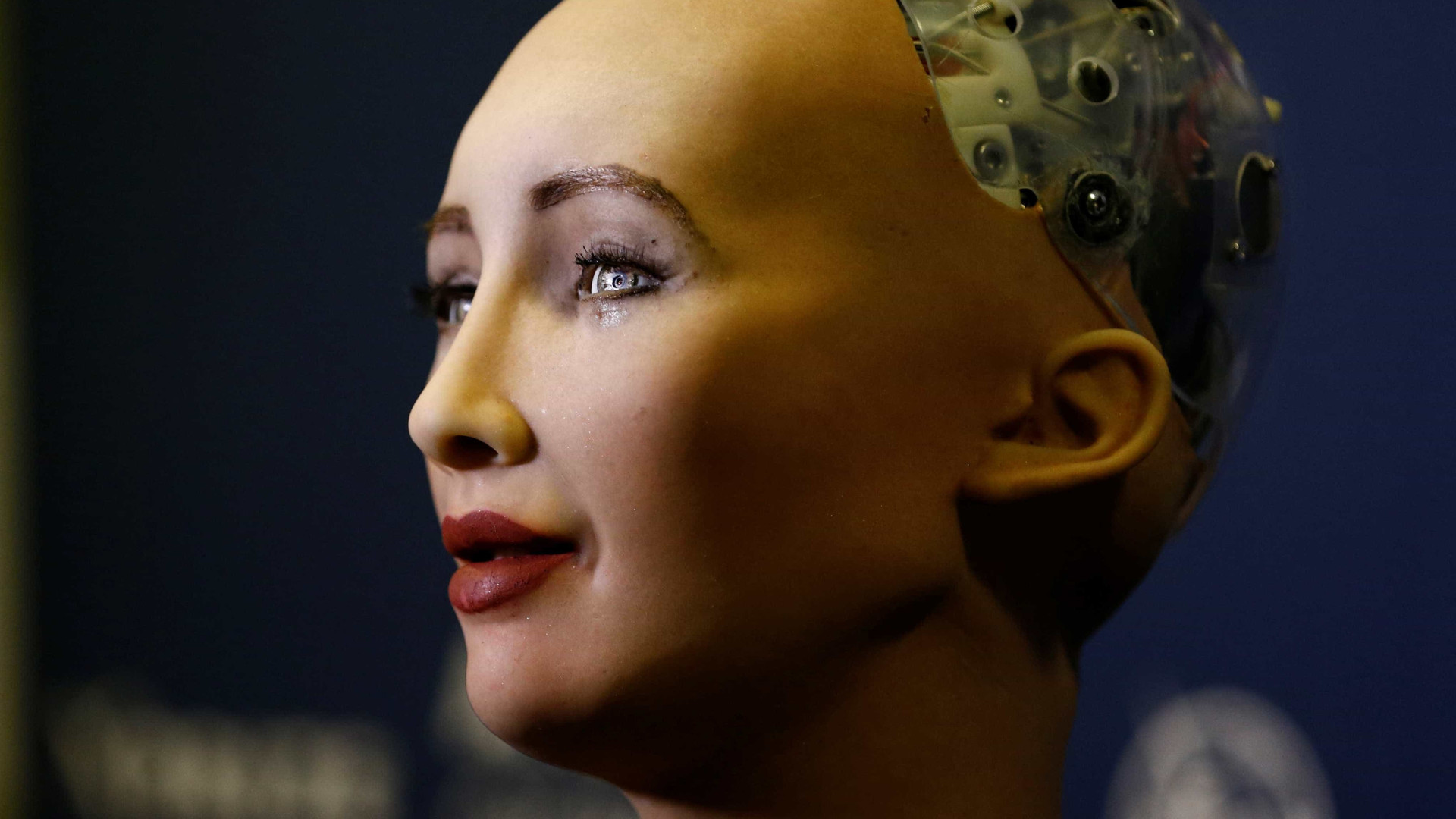 Inteligência Artificial vai nos destruir? Robôs respondem