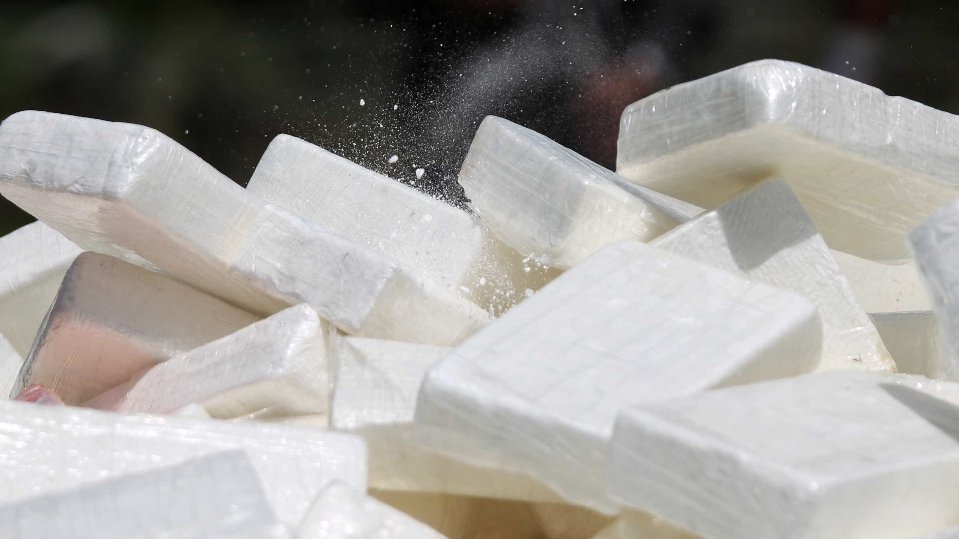 Estudo detecta elevada quantidade de cocaína no mar de São Paulo