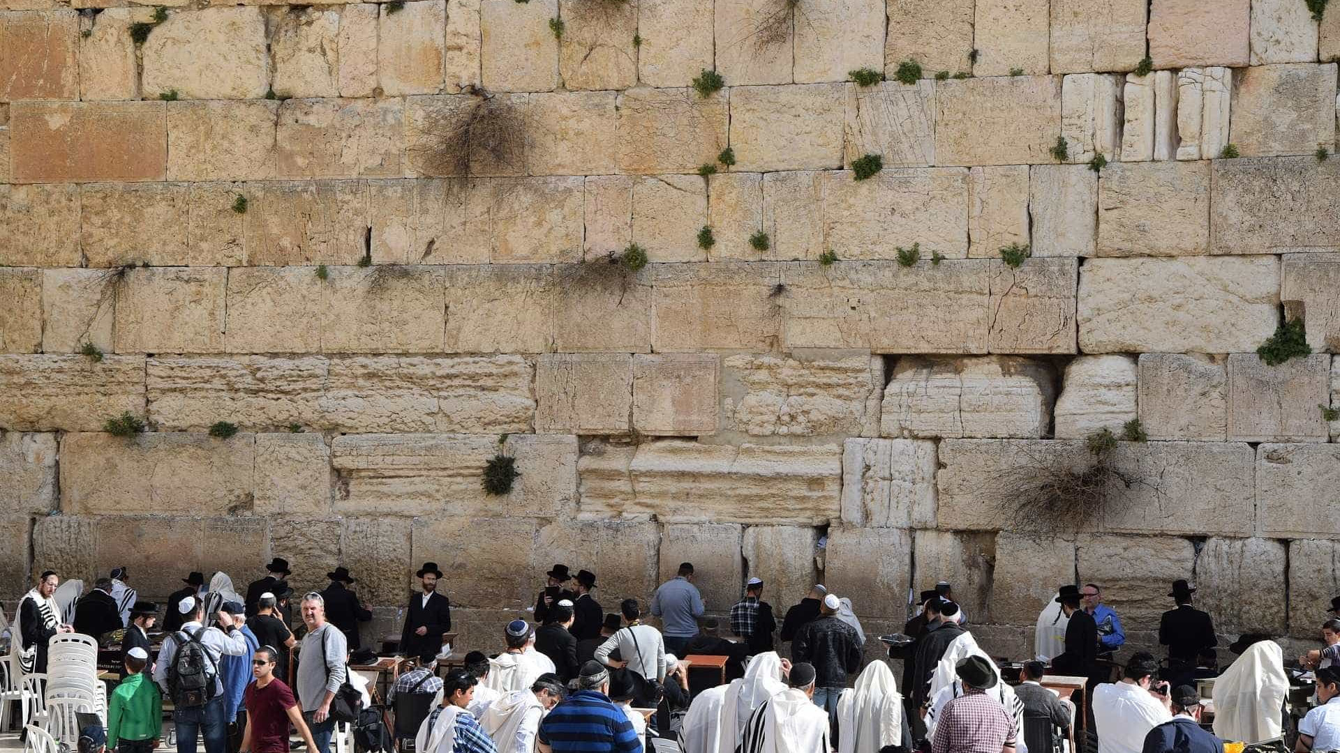 Trump quer reconhecer Muro das Lamentações como área de Israel