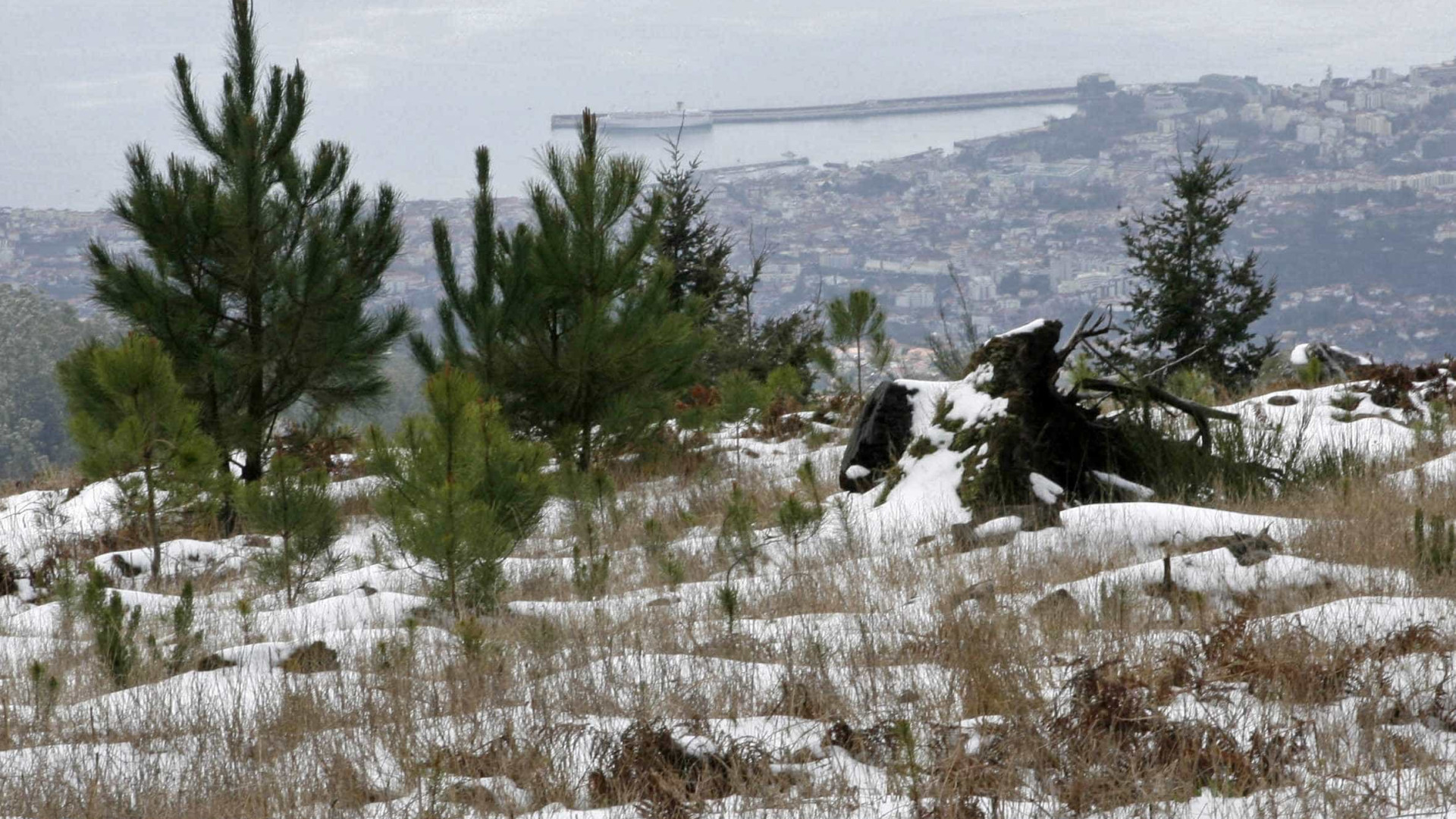 Portugal registra temperaturas negativas em semana muito fria