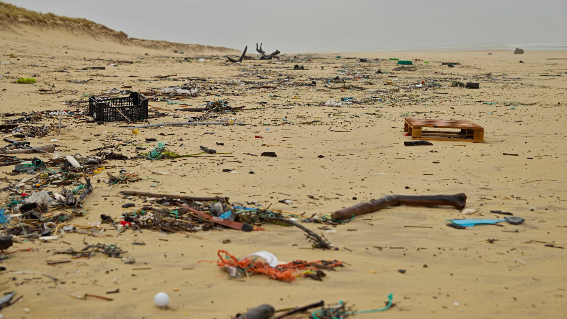 Revista National Geographic destaca impacto de plástico nos oceanos