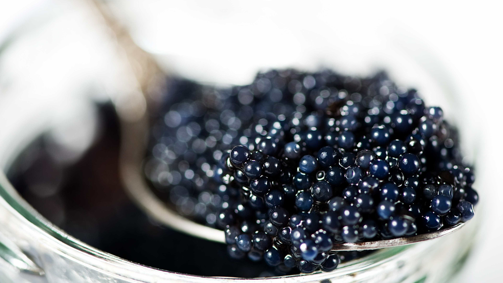 Caviar: 5 curiosidades que você precisa saber