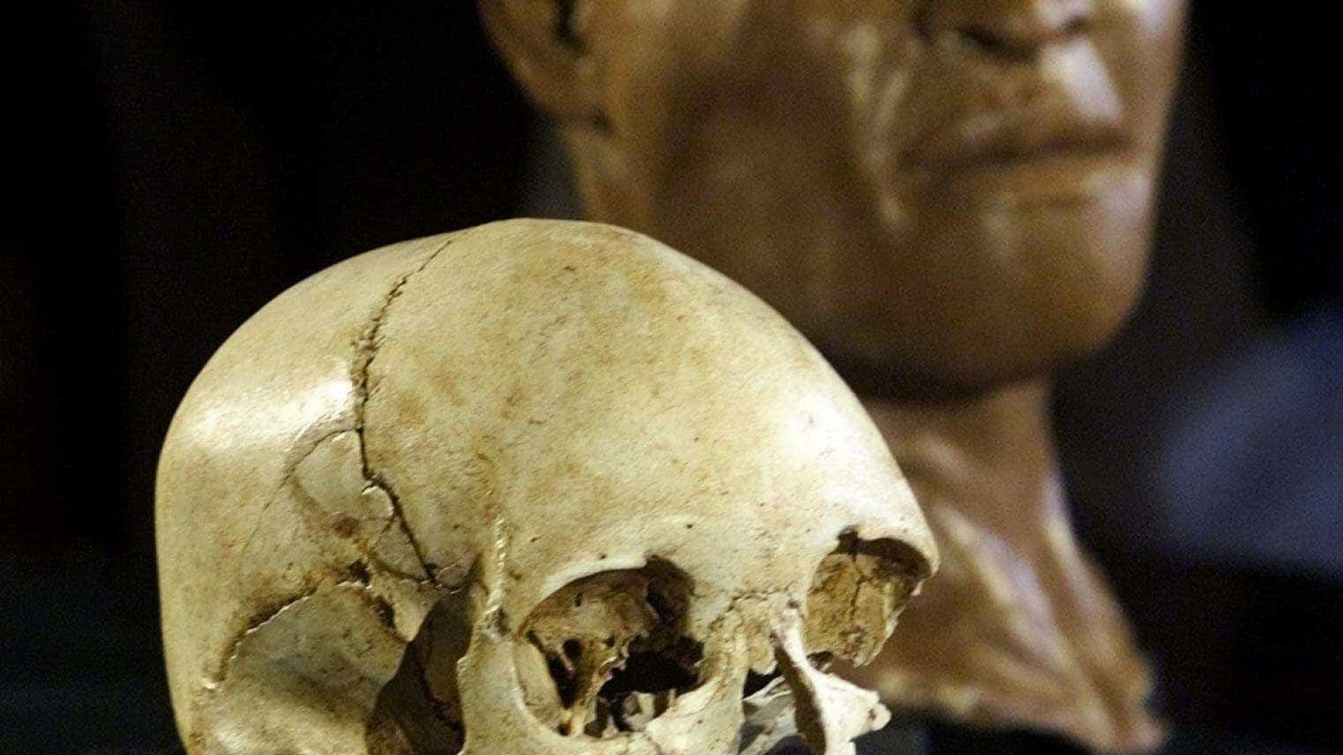 Mais antigo fóssil humano da América estava no Museu Nacional