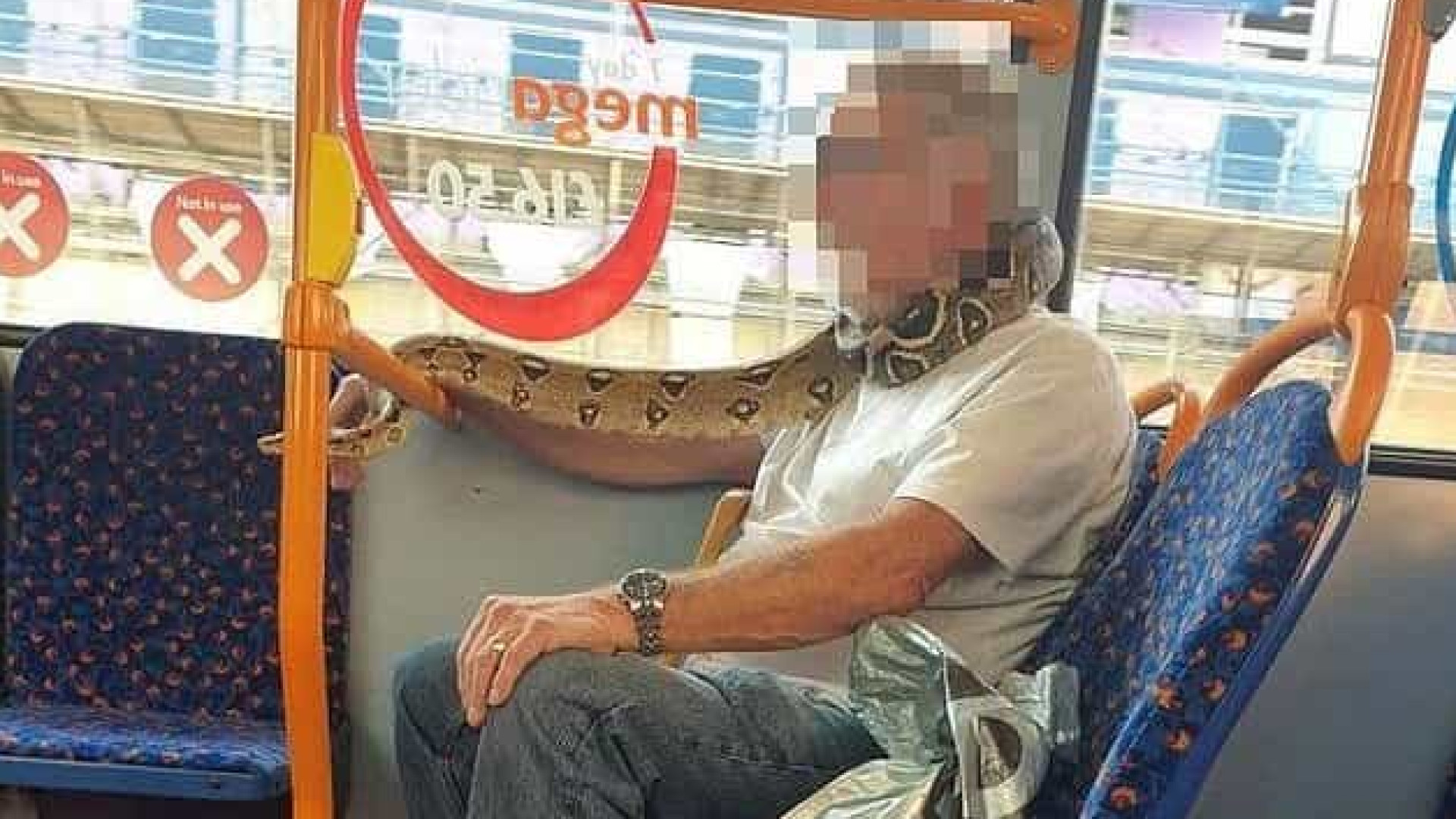 Homem usa cobra como máscara de proteção em viagem de ônibus