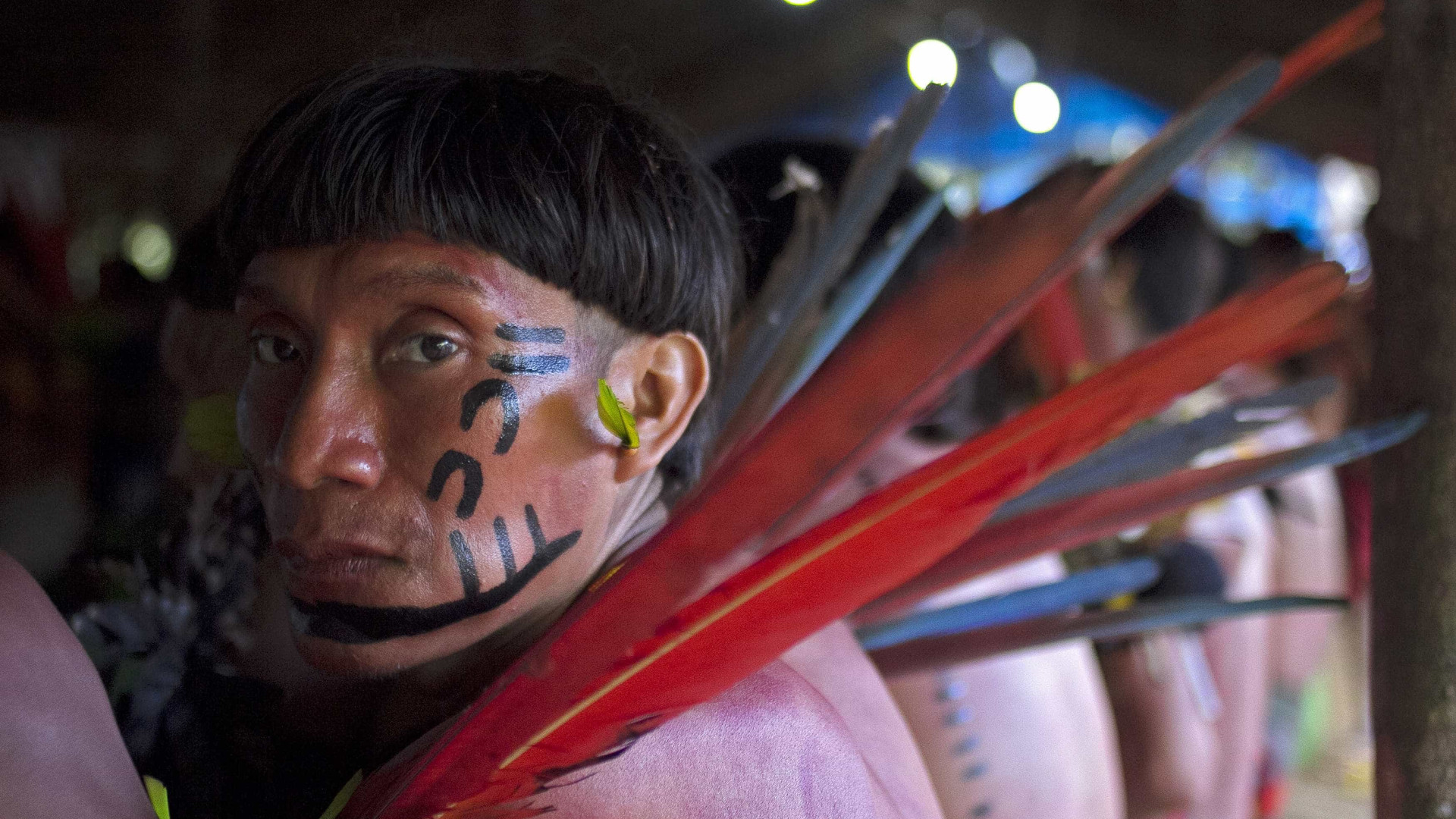 'Yanomamis falam que a floresta está morrendo'