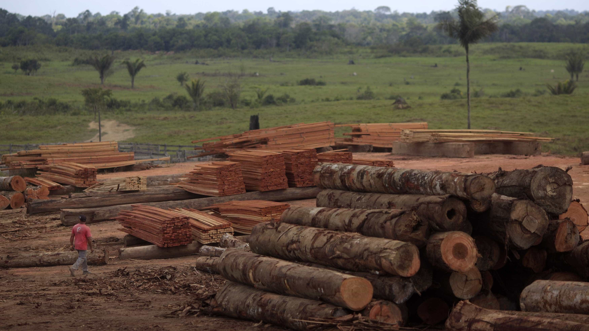 Sem apoio, índios mundurucus expulsam madeireiros ilegais no Pará