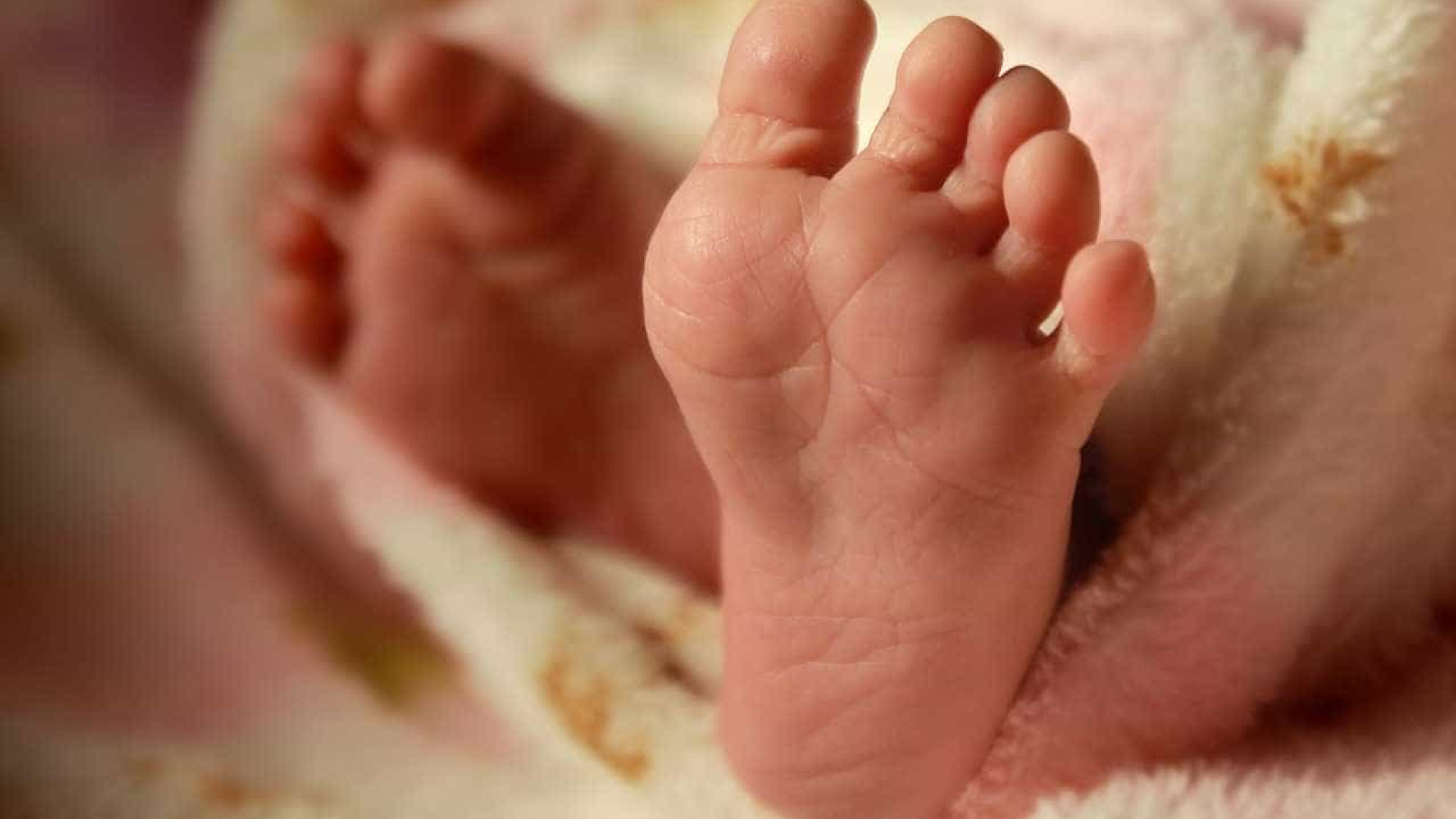 Recife registra morte de feto e de recém-nascido por chikungunya