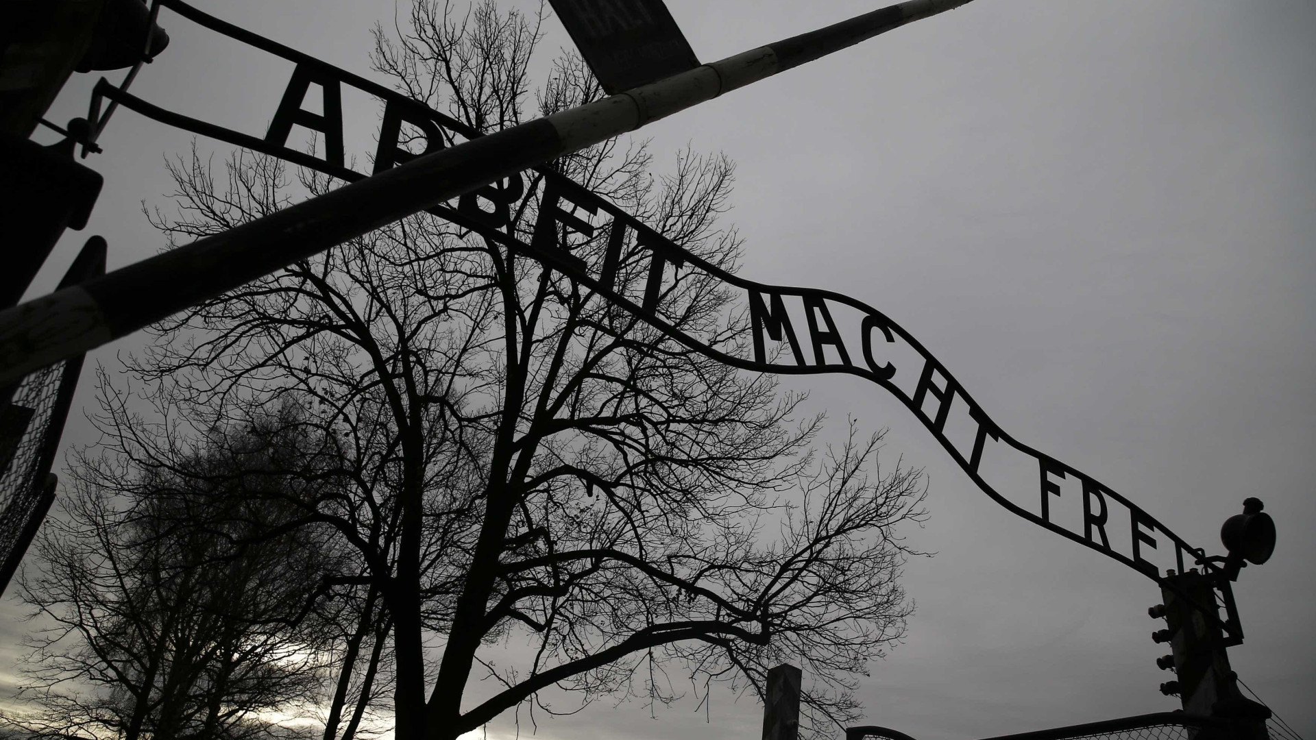 No Dia da Memória, mundo lembra o horror do Holocausto