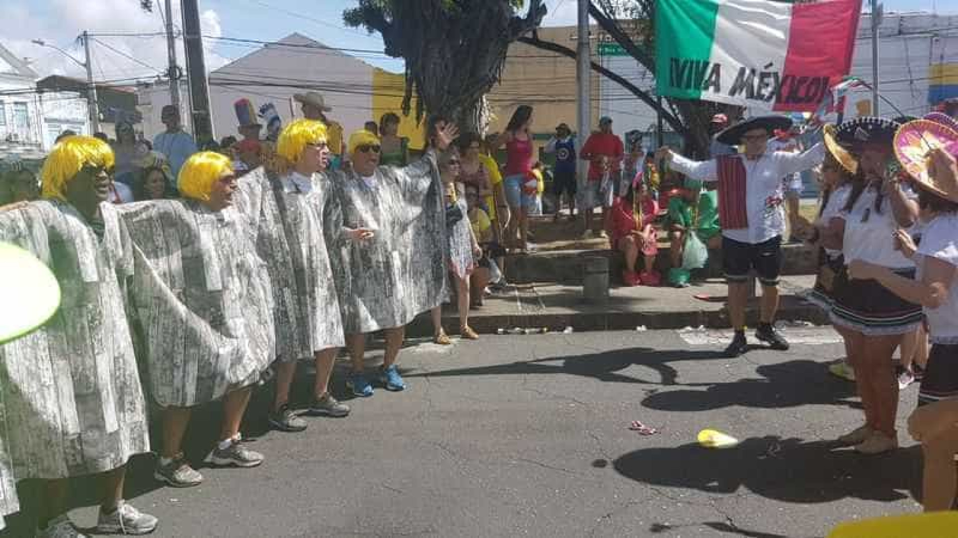 Grupos fantasiados animam apresentação do Galo da Madrugada no Recife