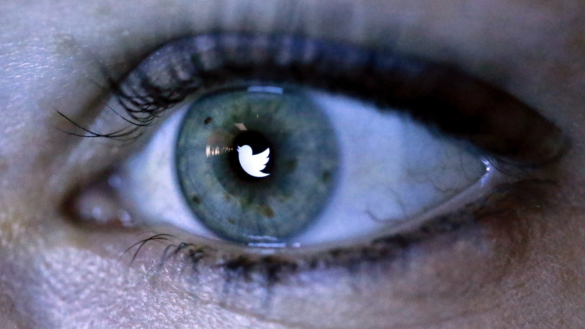 Twitter anuncia medidas mais duras contra assédio sexual na rede