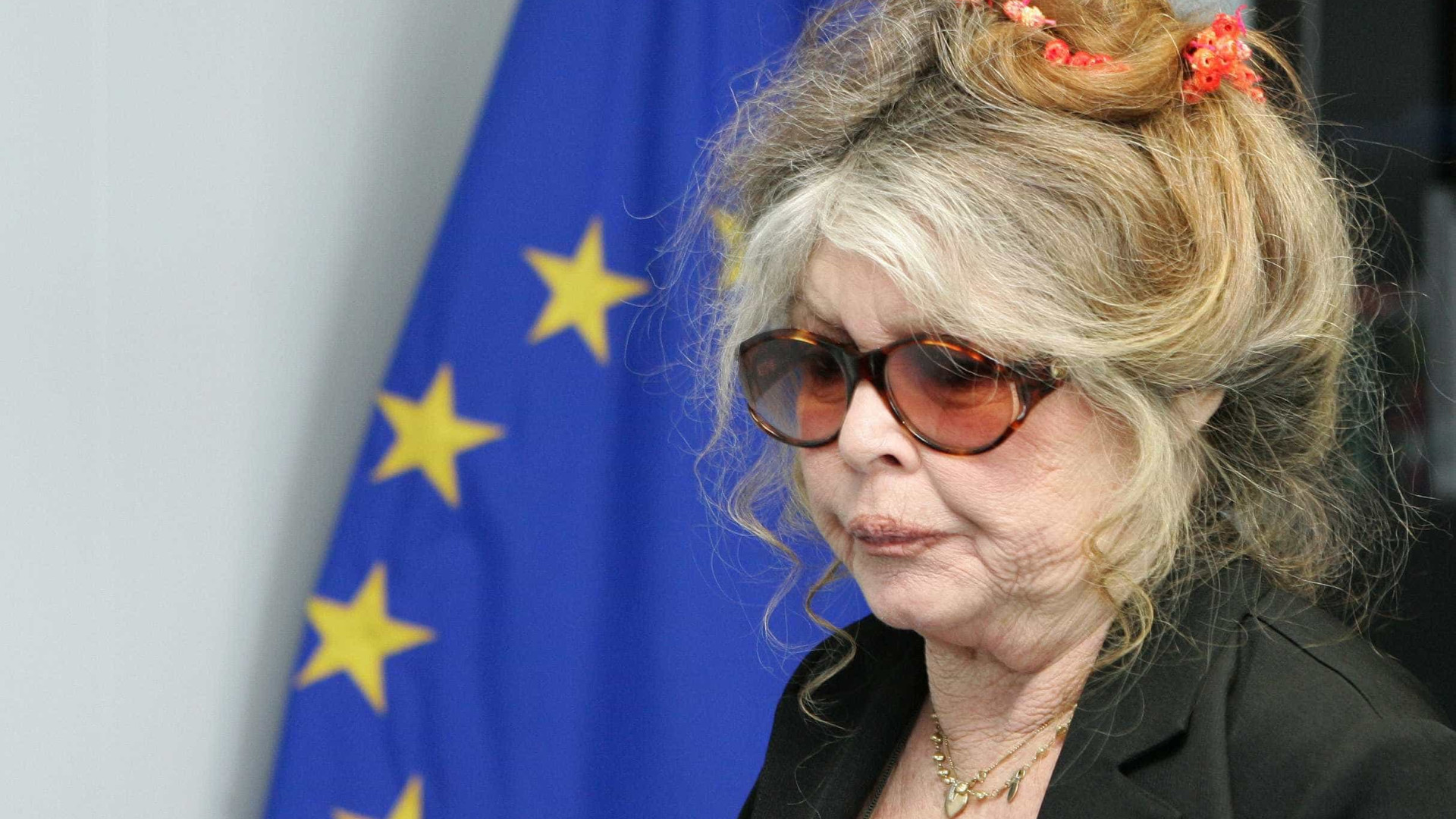 Brigitte Bardot terá de pagar multa de R$ 130 mil por insultos racistas
