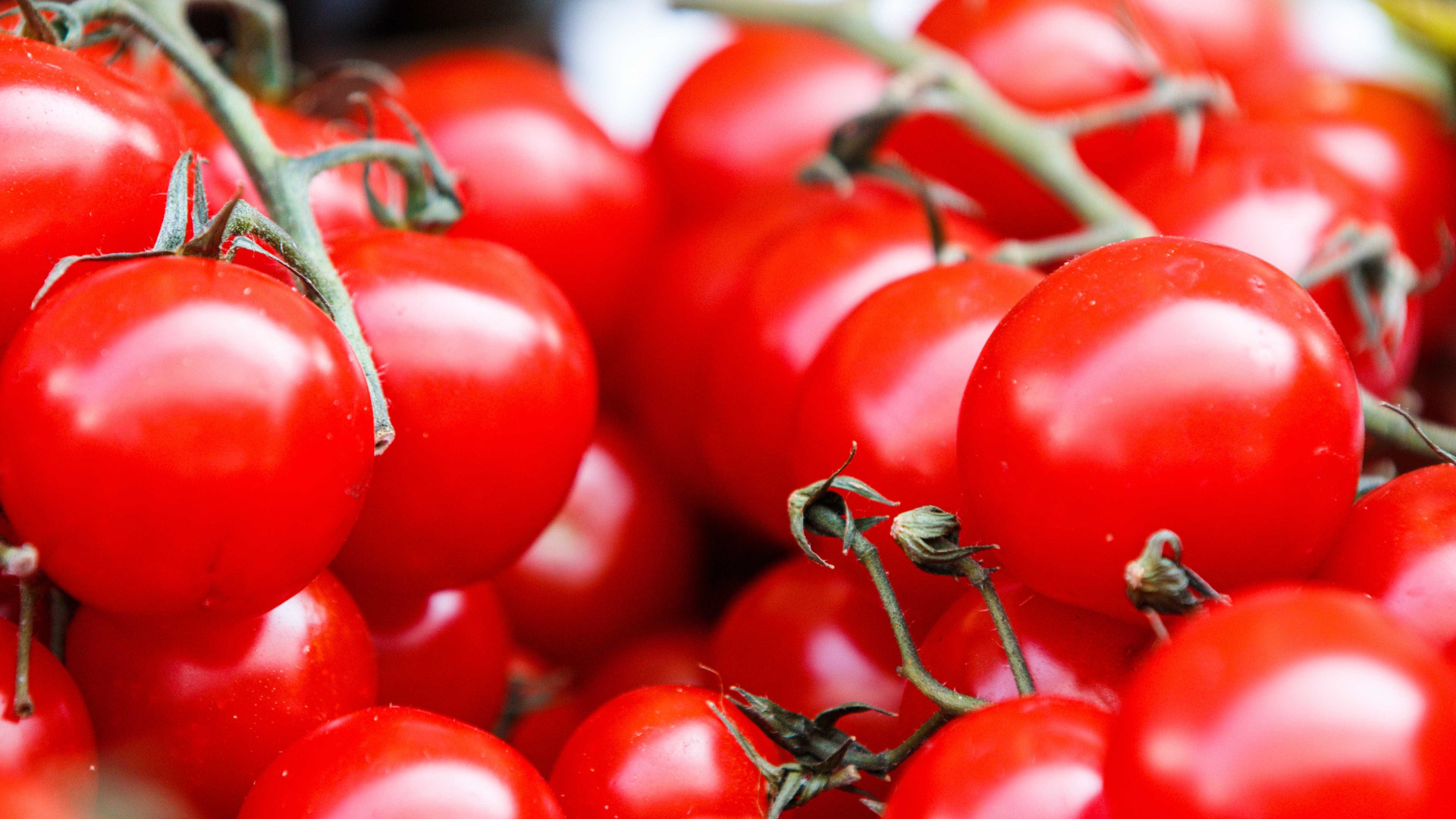 Aprenda a fazer tomate-cereja recheado com gorgonzola