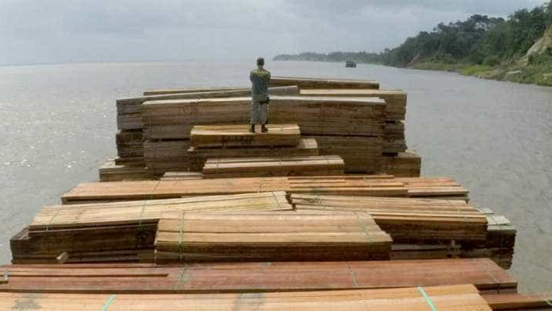 Forças Armadas apreendem balsas com toras de madeira no Pará