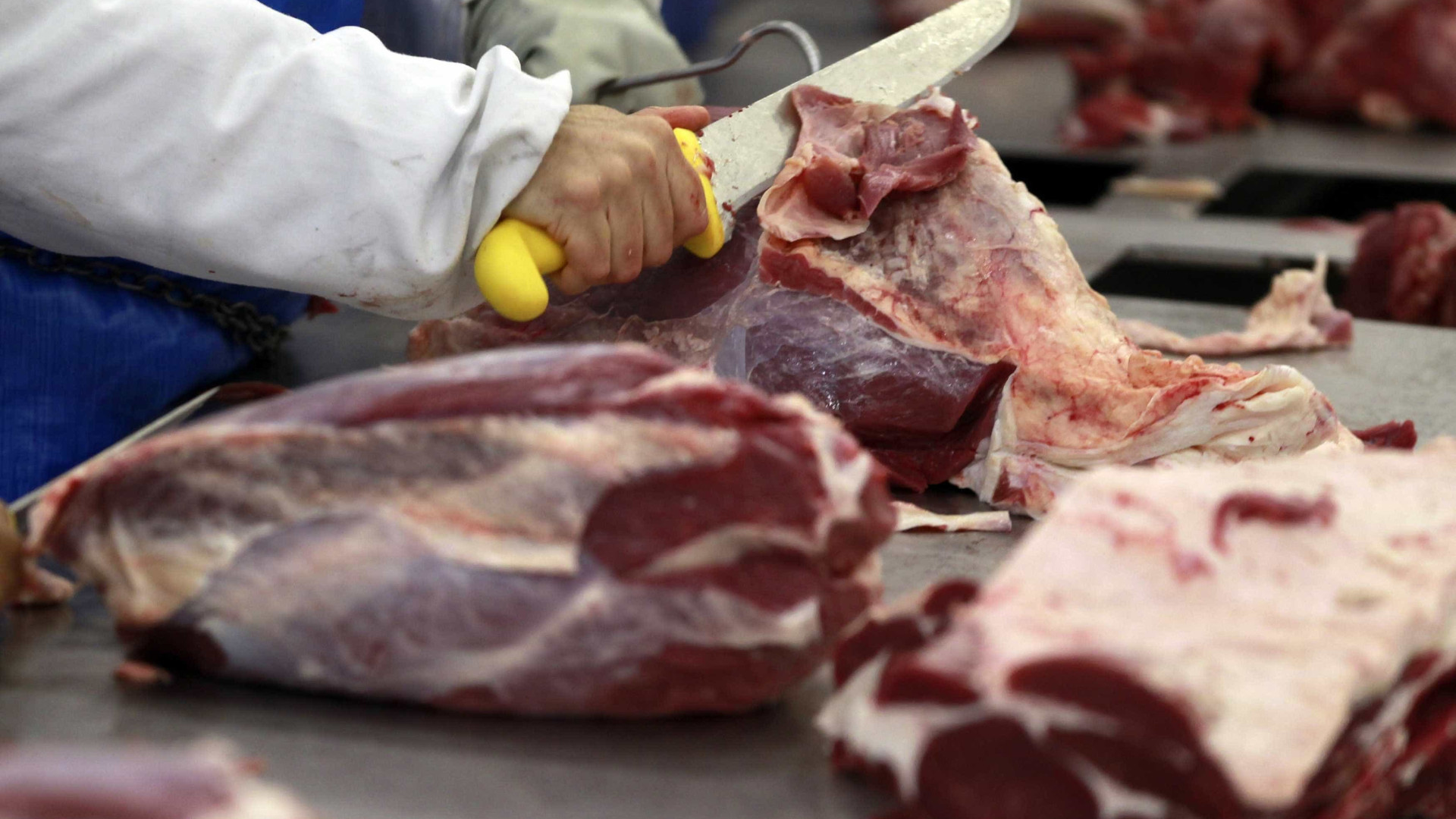 Exportações de carne podem fechar 2019 com resultado recorde