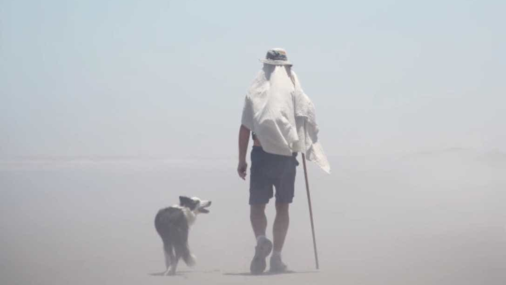 Cão acompanha dono em caminhada de 3400 km pela África do Sul