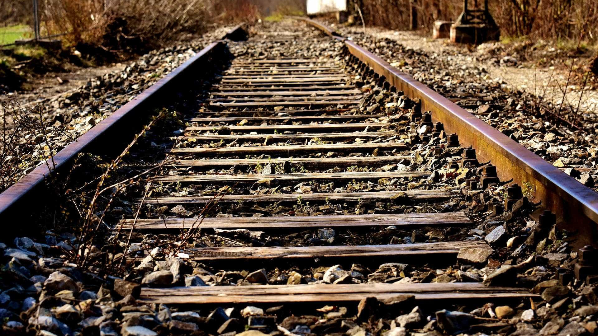 Mulher morre após ser atropelada por trem enquanto mexia no celular