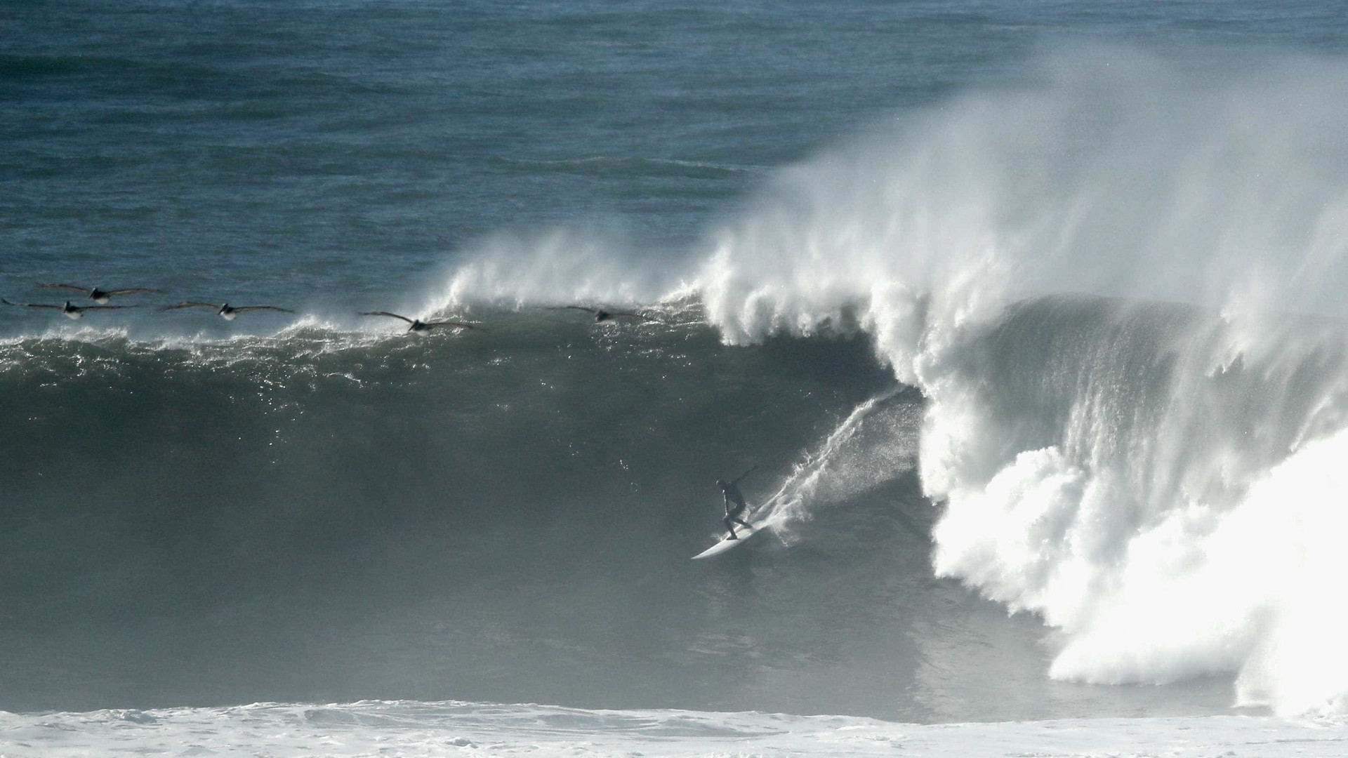 Costa da Califórnia é atingida por ondas gigantes; vídeo