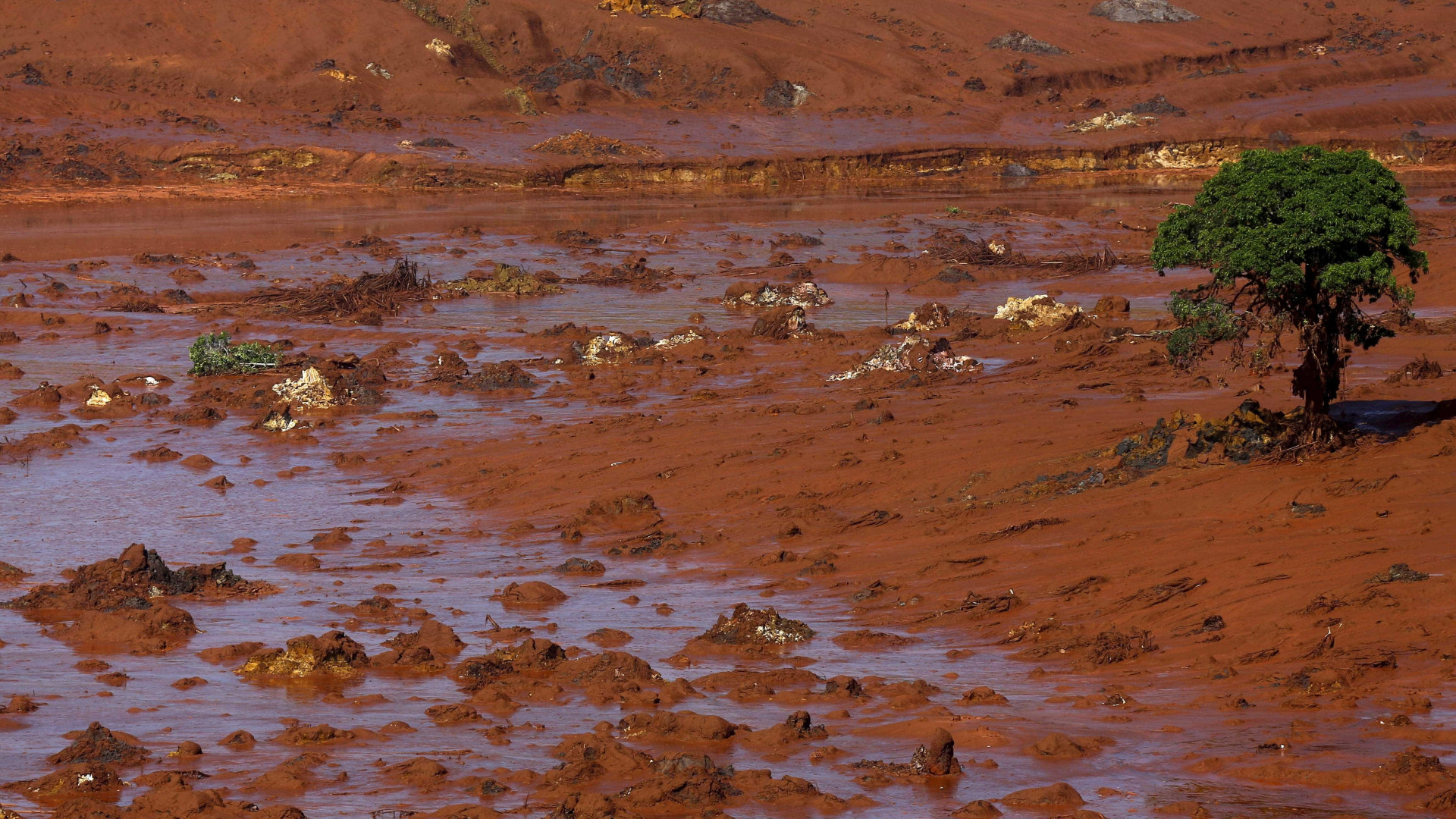 Estudo mostra que lama de desastre de Mariana chegou a Abrolhos
