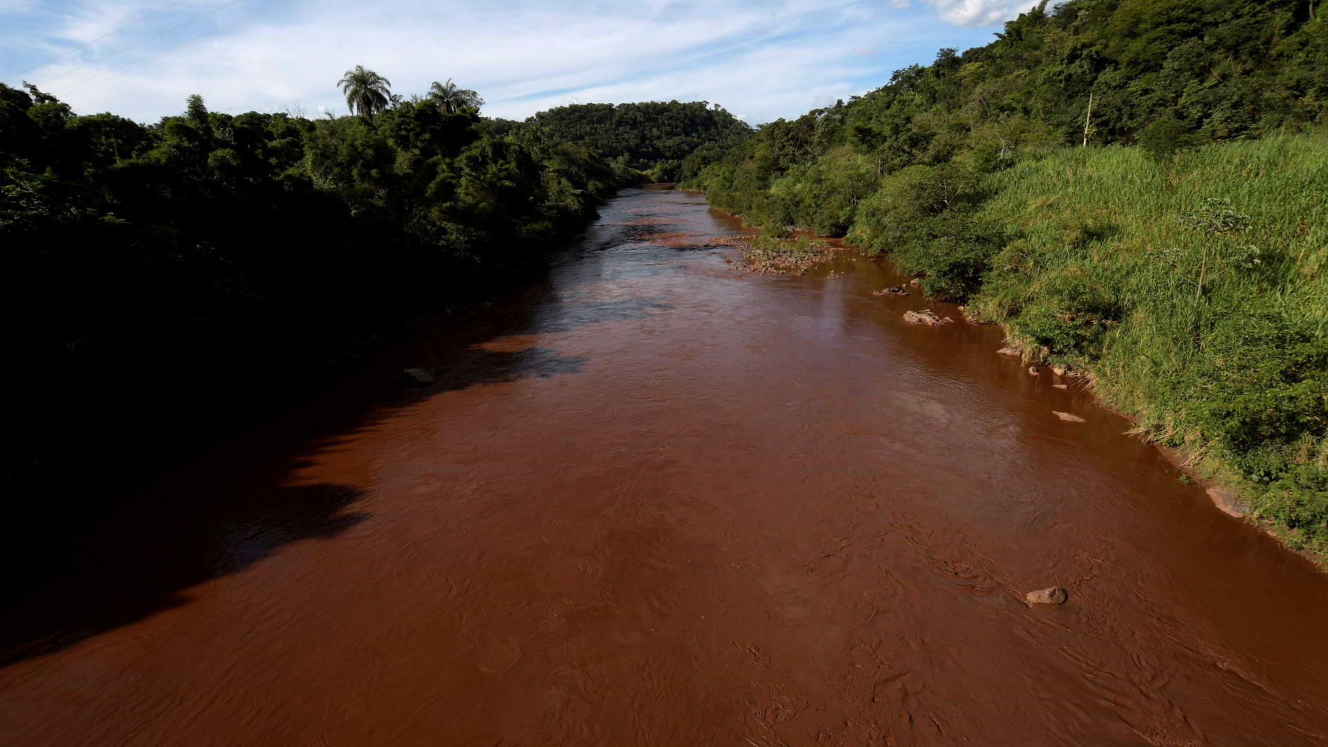 Paraopeba é rio tóxico por mais de 300 km, diz relatório de ONG