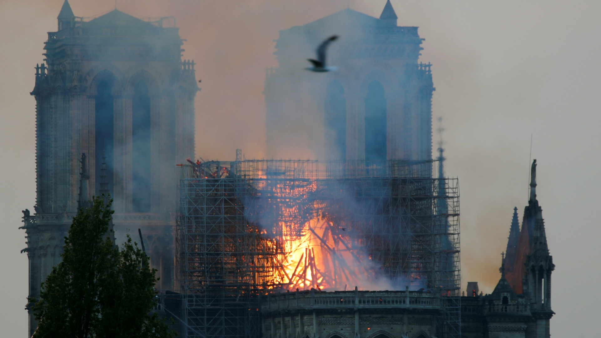 França pede doações e avalia danos na Notre-Dame