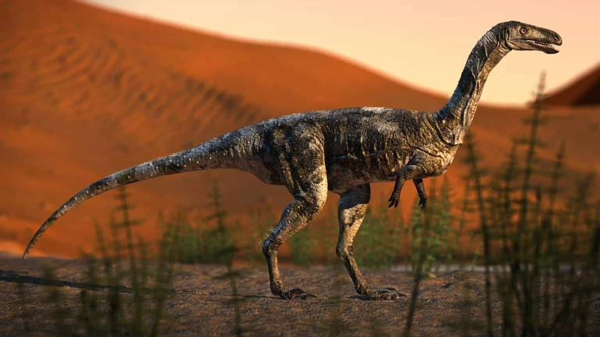 Dinossauro brasileiro descoberto andava como cavalo e tinha garras