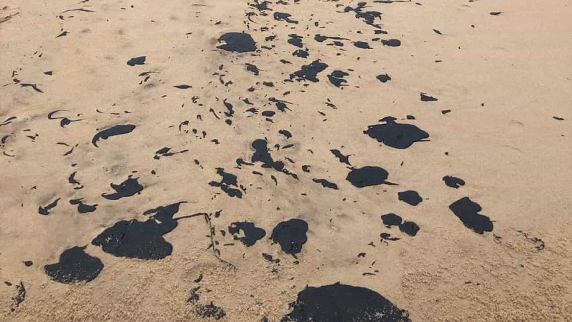 Manchas de óleo fecham 17 praias para banho