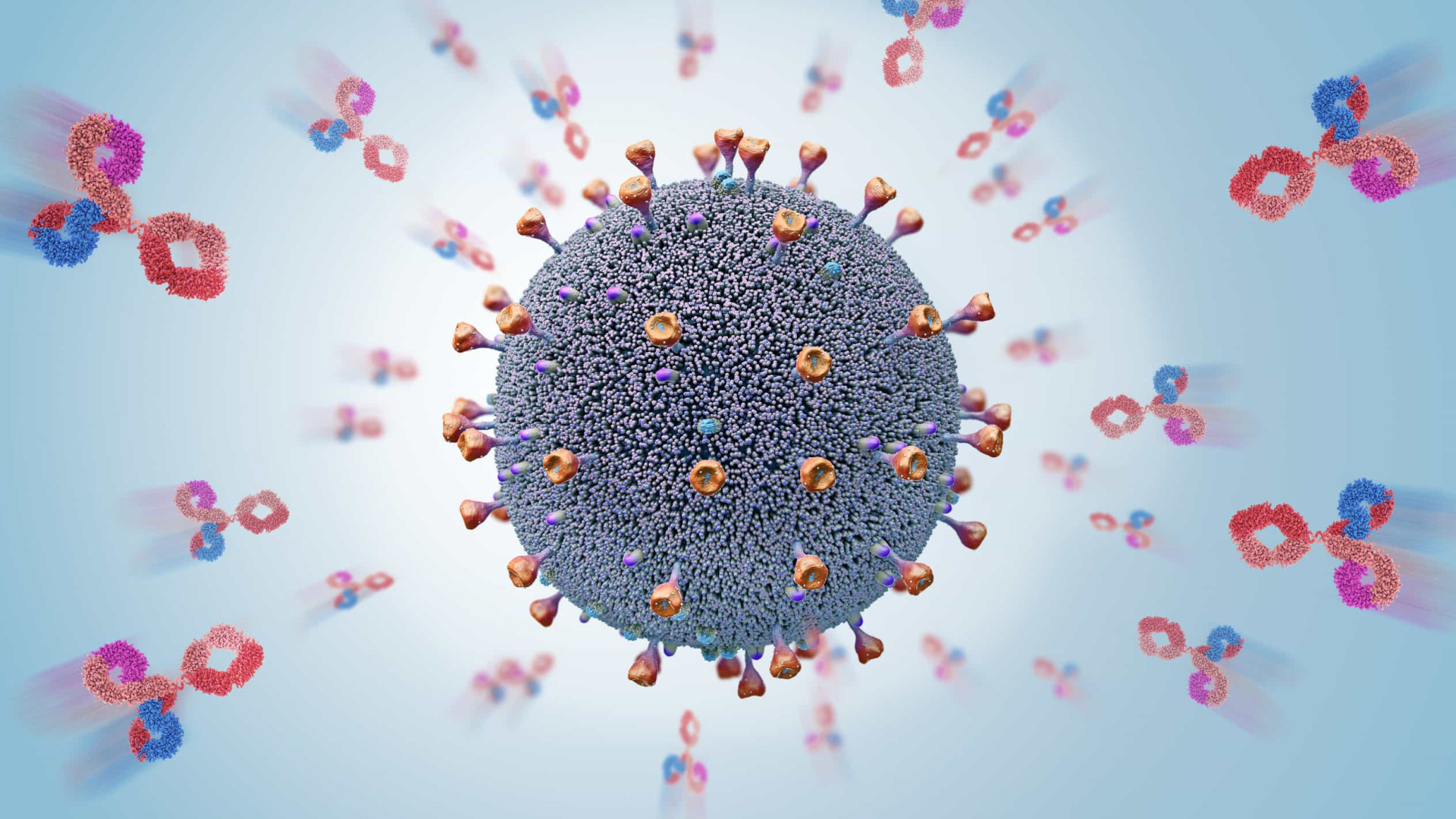 SARS-CoV-2 desencadeia anticorpos de infecções anteriores por coronavírus