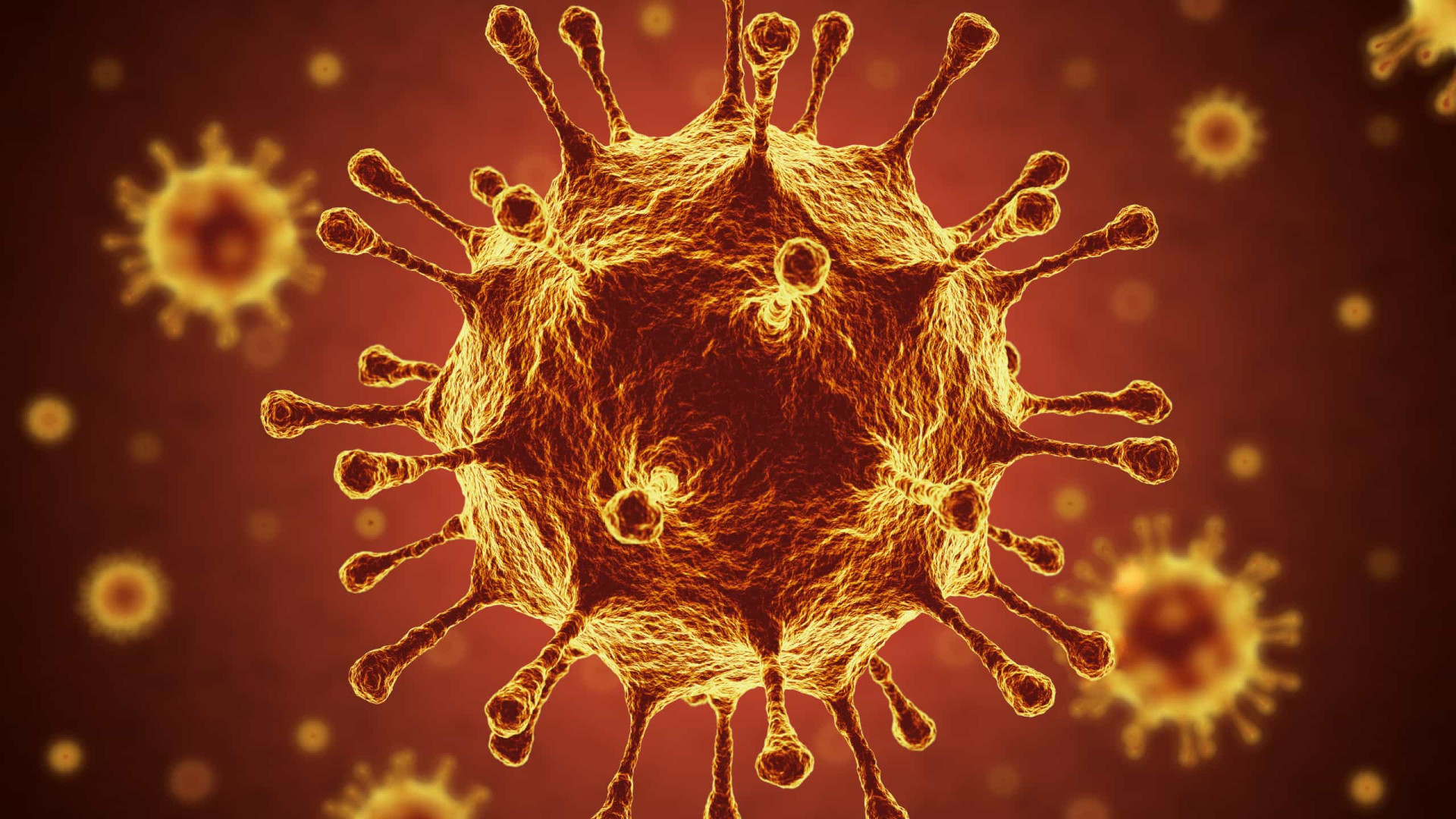 Superbactérias: A outra 'pandemia' que a Covid-19 veio acentuar