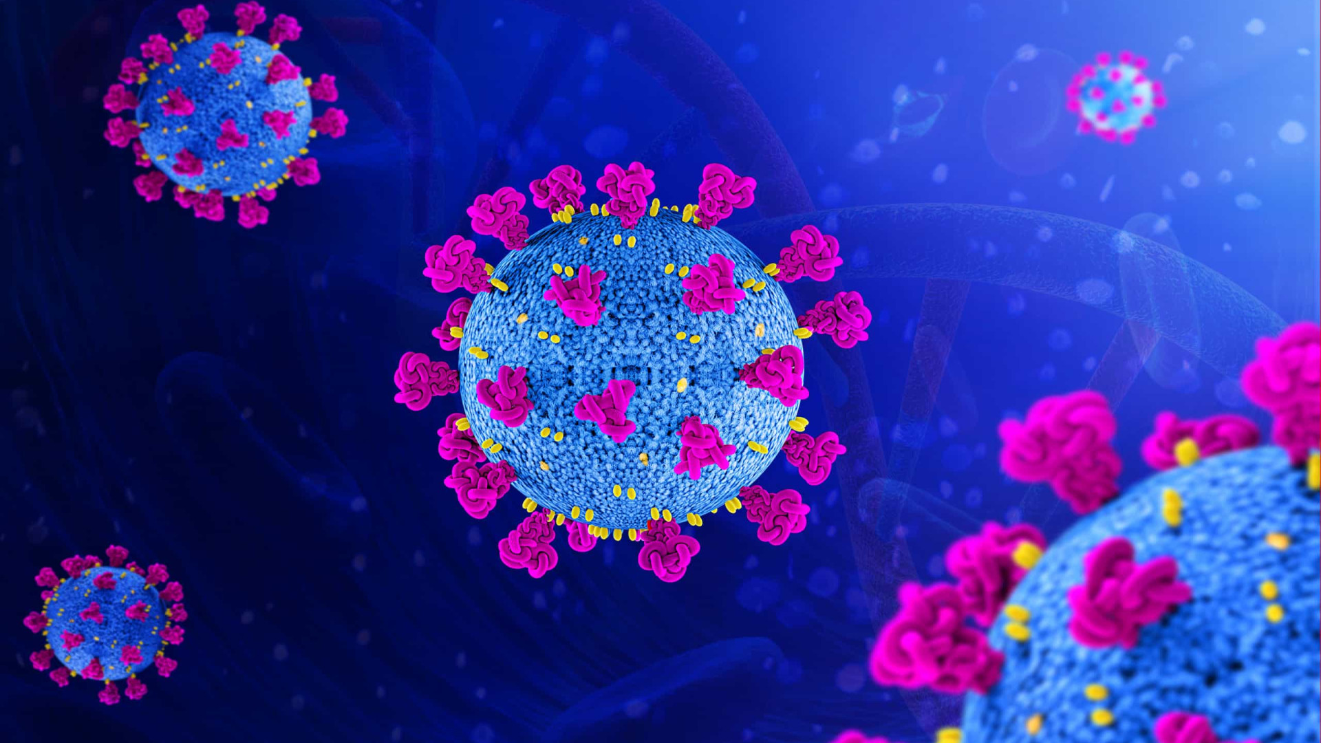 Em equilíbrio, sistema imune é arma contra Covid-19 e outras doenças