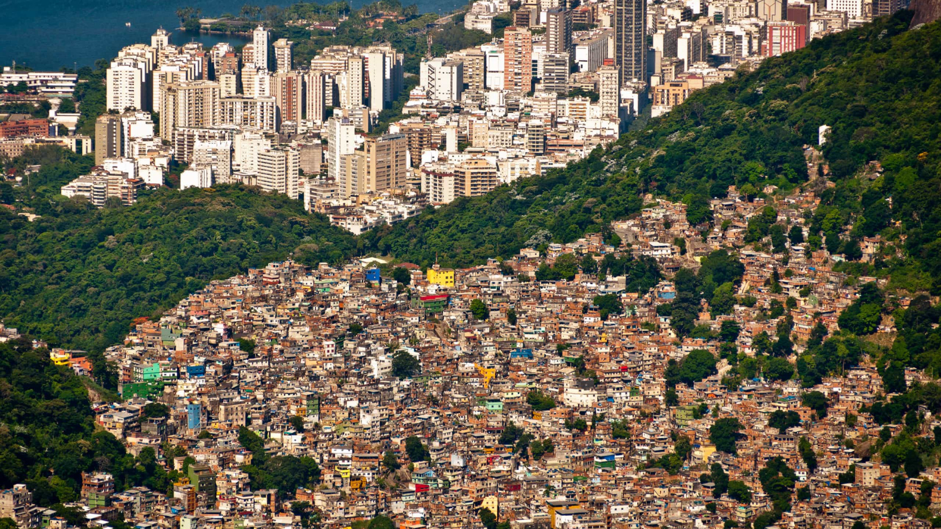 Milicianos cobram taxa para criação de porcos em favela do Rio, dizem moradores