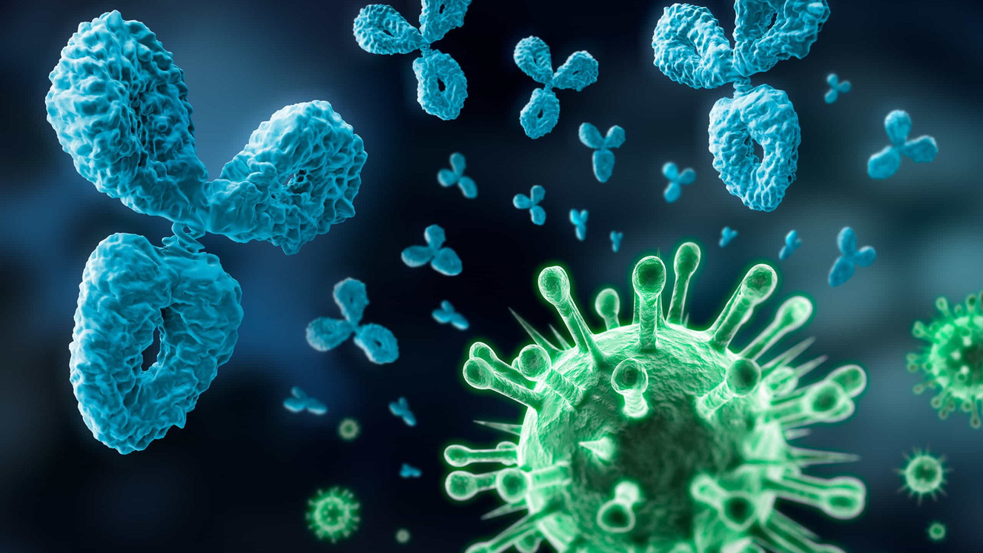 Anticorpos contra Covid-19 continuam em alta 5 meses após infecção, diz novo estudo