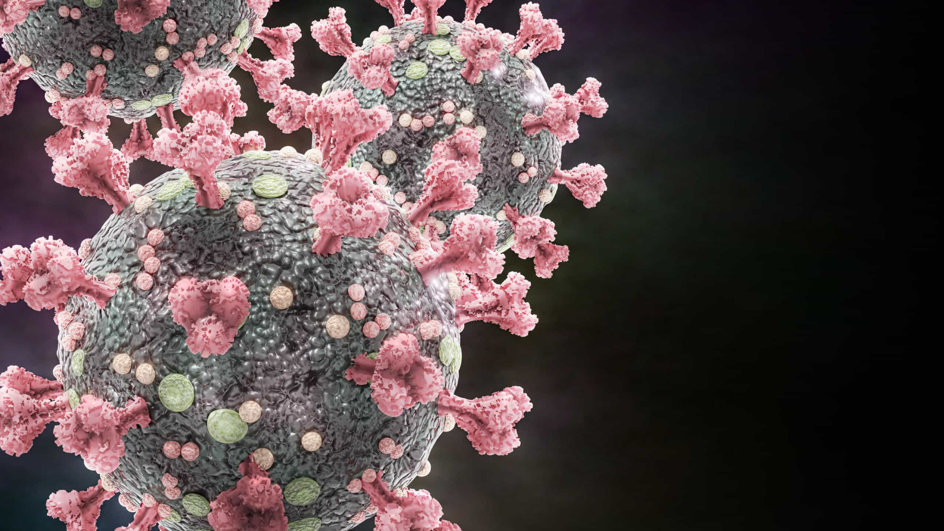 Coronavírus usa colesterol para invadir e criar megacélulas. Cuide-se