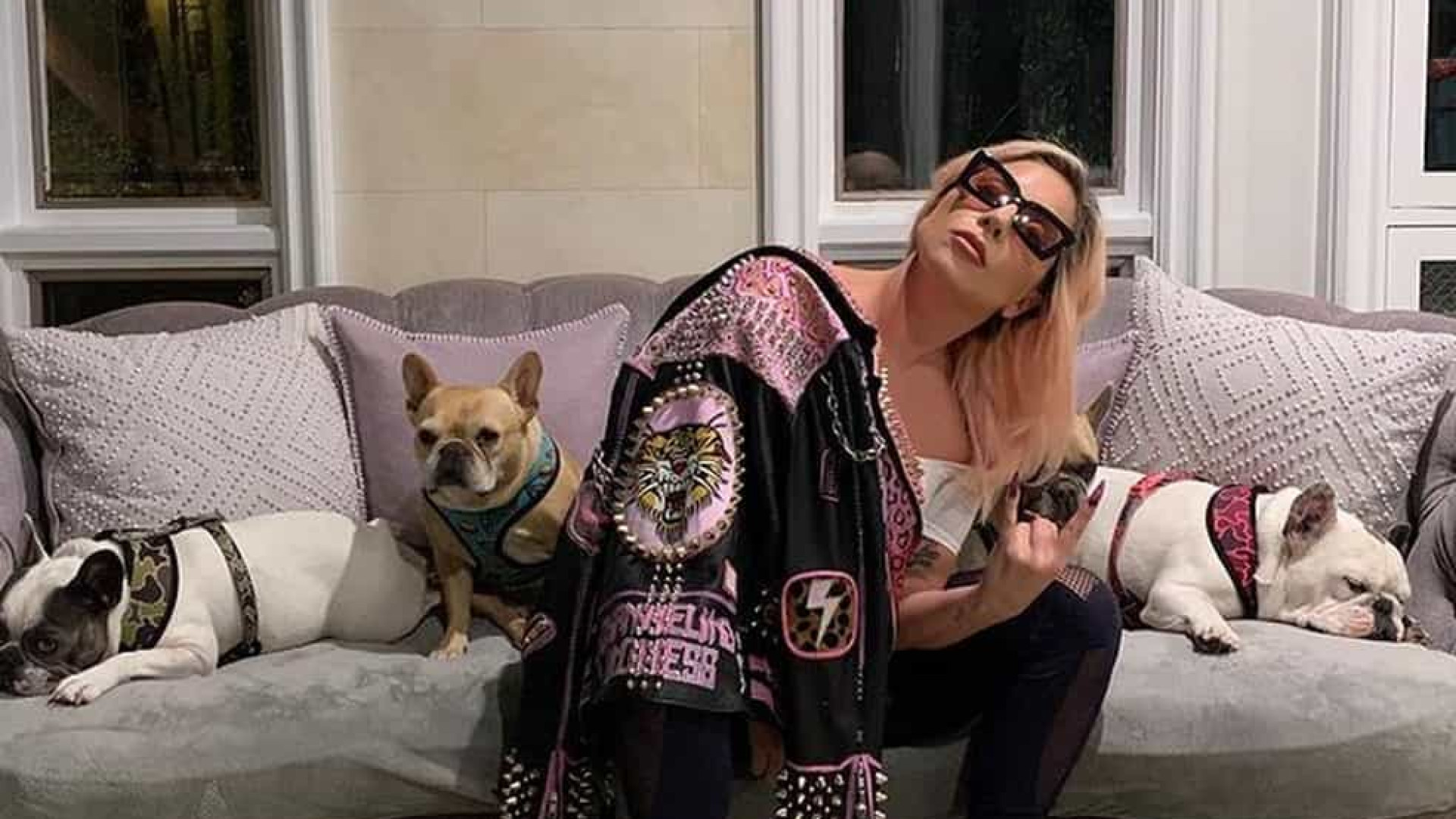 Lady Gaga tem dois cachorros roubados após passeio com 'dog walker'