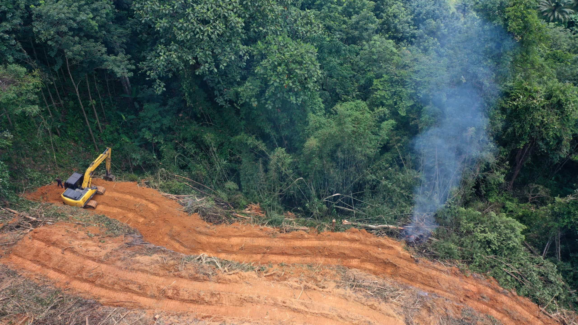 Ibama aplicou 3.800 autos de infração contra desmatamento este ano