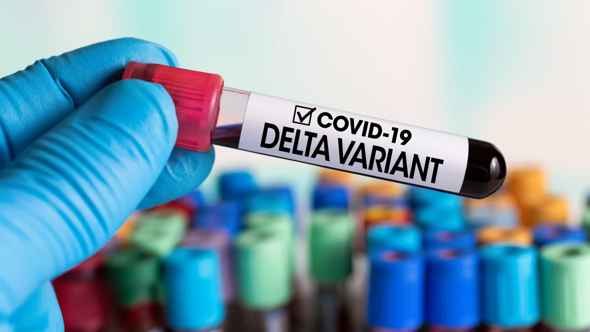 Vacinados continuam a transmitir variante Delta, diz novo estudo 