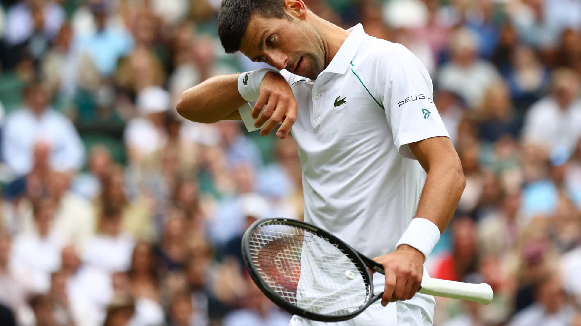 Djokovic passa por chileno e se classifica às quartas de final em Wimbledon