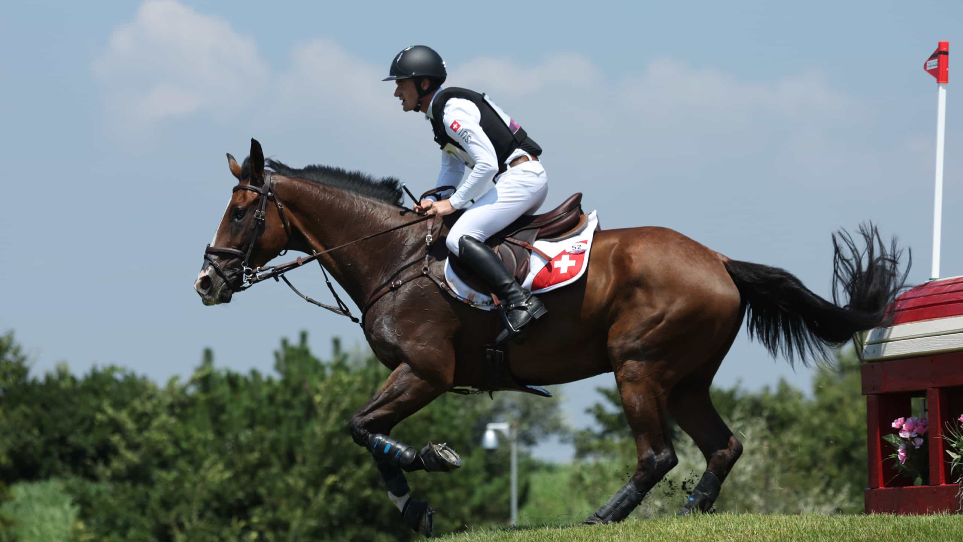 Cavalo é sacrificado após lesão em apresentação do hipismo dos Jogos Olímpicos